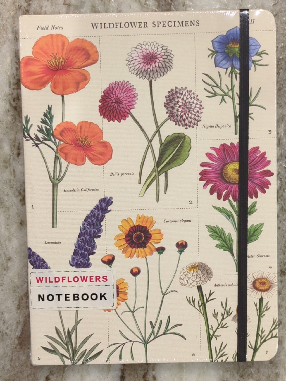 Barnes & Noble Floral Notebook – Pink and Green Botanical Cover